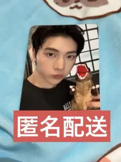 ZB1 マシュー soundwave 恐竜襲撃 トレカ