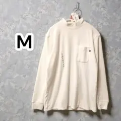 Item thumbnail for item 53a54304-e52b-4a85-b7cf-8167599f1764