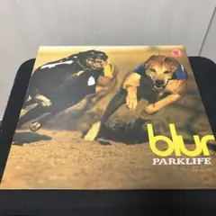 2026年最新】PARKLIFE レコードの人気アイテム - メルカリ