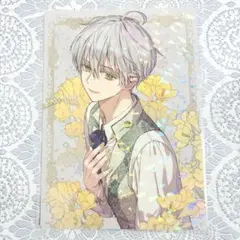 ある日、お姫様になってしまった件について 7巻特装版 ホログラムはがき ある姫