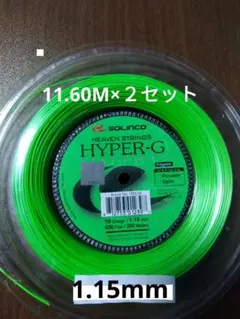 ソリンコハイパーG115 　　　 11.60Ｍ×２セット