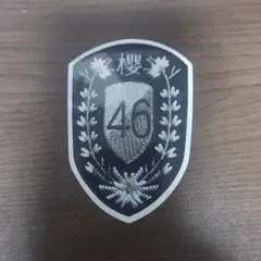 2026年最新】新せ界 櫻坂 エンブレムの人気アイテム - メルカリ