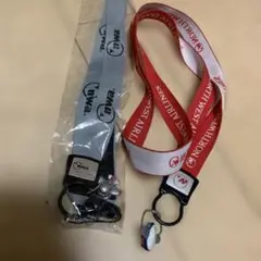 ANA 航空機モチーフ ストラップ