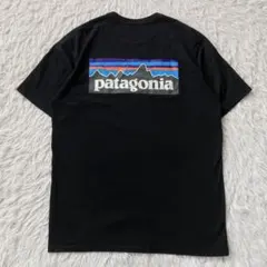 メキシコ製】Patagonia パタゴニア ロンT 両面プリント メンズS 紺 