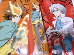 沢田綱吉 獄寺隼人 スティックポスター