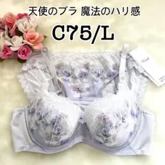 Item thumbnail for item cf9da1df-254d-45b2-a7af-6218c29842a0