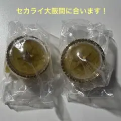 【プロセカ】セカライ 5th リングライト リンライ　鏡音リン