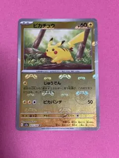 2025年最新】ピカチュウ ミラー マスターボールの人気アイテム - メルカリ