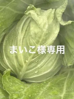 まいこ様専用です