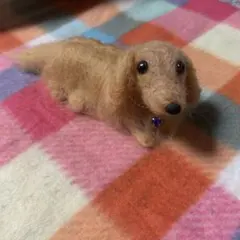 羊毛フェルトミニチュアダックス
