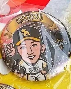 若鷹ガチャ　大津亮介