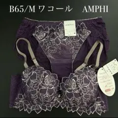B65/M VI 　ワコール　アンフィ デイアップブラのサムネイル