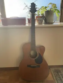 2025年最新】エレアコ greg bennettの人気アイテム - メルカリ