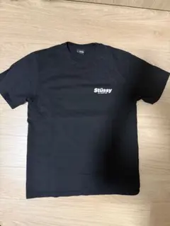 ケ*タ様 ※最安値【即日配送】Stussy ブラック Tシャツ