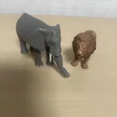 アニア　ゾウ　ライオン　2体セット