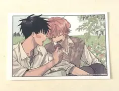 ★特典のみ★君となら恋をしてみても 7 TSUTAYA限定特典のサムネイル
