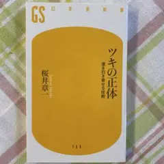 ツキの正体 運を引き寄せる技術　桜井 章一　マージャン