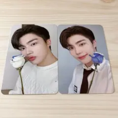 ゴヌク zerose3期トレカ