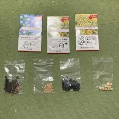 植物の種(ガーデニング用)