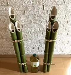 Item thumbnail for item f4ab7ae4-476a-425b-ab48-7d0ba5063d4d