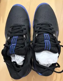 asics アシックス GEL-CHALLENGER テニスシューズ 箱付きのサムネイル