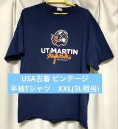【送料込み】USA古着 ビンテージ　半袖Tシャツ　2XL(3L相当)メンズ