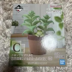 一番くじ 爬虫類＆両生類 C賞 ニホンアマガエルと観葉植物アクセサリー