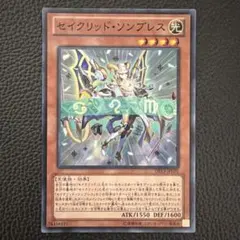 0263 遊戯王 セイクリッド ソンブレス