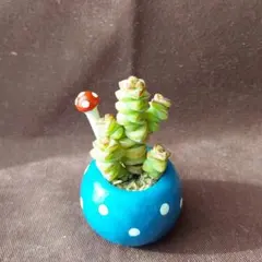 ろう様 リクエスト 2点 まとめ商品