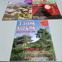 Item thumbnail for item b157fdf9-e502-49f2-8e90-bd104375c122