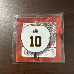 オールスターシークレットグッズ　うちわ型キーホルダー　甲斐拓也