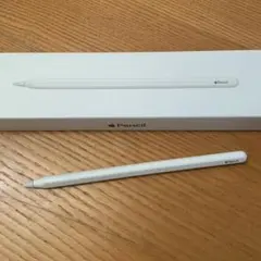 ル*ラ様 Apple Pencil (第2世代)