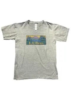 極上 90s USA製L.L.Bean ハーバーサイドグラフィックス Tシャツ - メルカリ