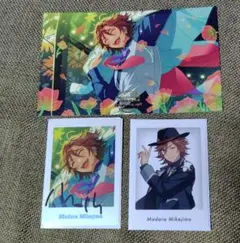 10周年展示会　ポストカード　ぱしゃっつ　三毛縞斑セット