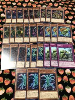 遊戯王 捕食植物　デッキ　パーツ　セット