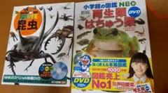 NHK 昆虫 & 小学生の図鑑 NEO