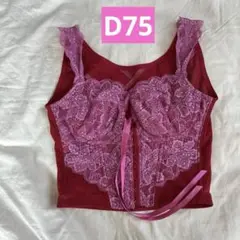 グラントイーワンズ　ニッパービスチェ　ラブ　D75