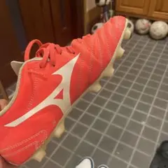 ミズノ モナルシーダ 25.5