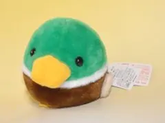 野洲のおっさん / びわ湖放送 / 知ったかぶりカイツブリ / ぬいぐるみ