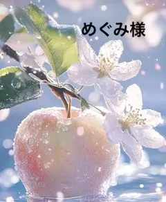 めぐみ様専用です