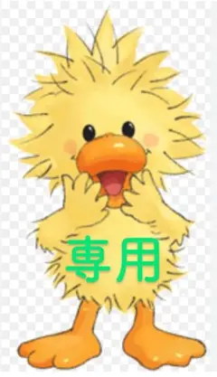 【Senco様】専用出品