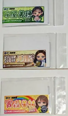 守屋美穂　シール　オリジナル舟券　記念舟券　浜名湖　フォトインキーホルダー付き 守屋美穂 シール オリジナル舟券 記念舟券 浜名湖 フォトイン