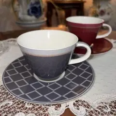 Villcroy&Boch ビレロイボッホ　カップソーサー　2客セット　未使用