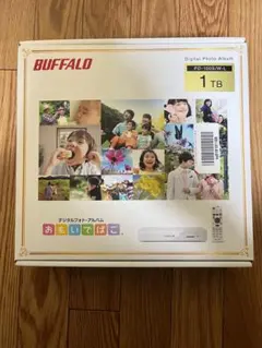 【美品】 BUFFALO おもいでばこ 1TB PD-100S/W-L