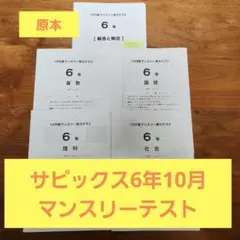 2025年最新】サピックス 10月マンスリーの人気アイテム - メルカリ