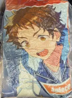 あんスタ GiGO限定 天満光　ビッグクッション あんさんぶるスターズ