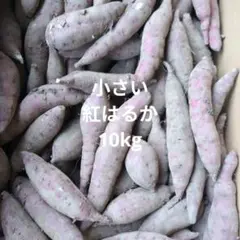 さつまいも 小さい紅はるか 10kg