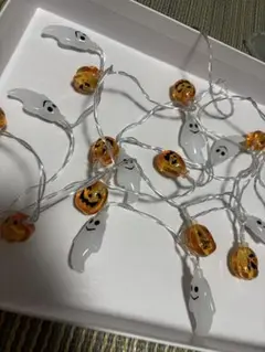 かぼちゃ ライト
