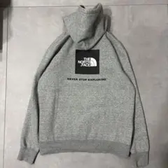 THE NORTH FACE ノースフェイス パーカー バックロゴ グレー M