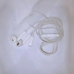 iPhone 純正イヤホン アップル　ライトニング端子正規品のサムネイル